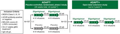 Long-term safety, tolerability, and efficacy of efgartigimod (ADAPT+): interim results from a phase 3 open-label extension study in participants with generalized myasthenia gravis